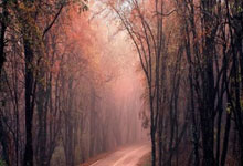 亿万28官网:AI的奶来了!大模型看欧冠,皇马巴萨拜仁巴黎四.