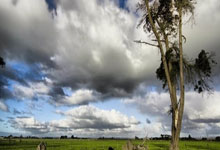 西班牙近18战15胜3平保持不败，上次输球还在一年之前.