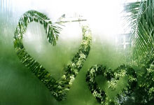 三连客仅剩2战:火箭防守仍前三双核驱动 乌度卡最强阵何惧KD?.