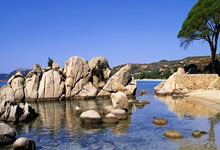 亿万28官网:近8成控球率却输球!西队长:垃圾!对手踢的不是足球.